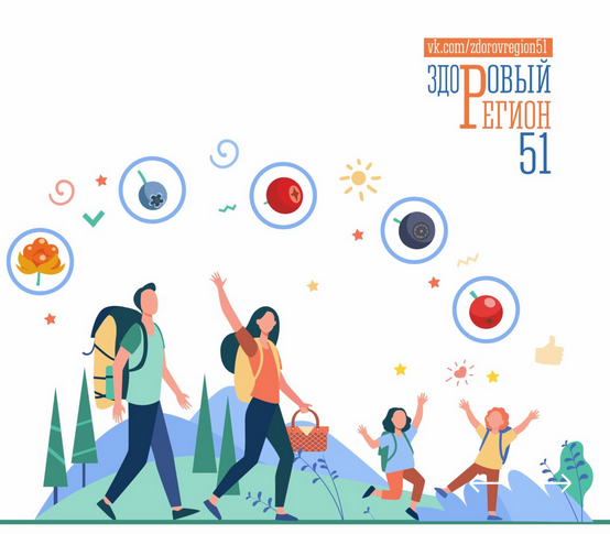 Здоровый регион 51.